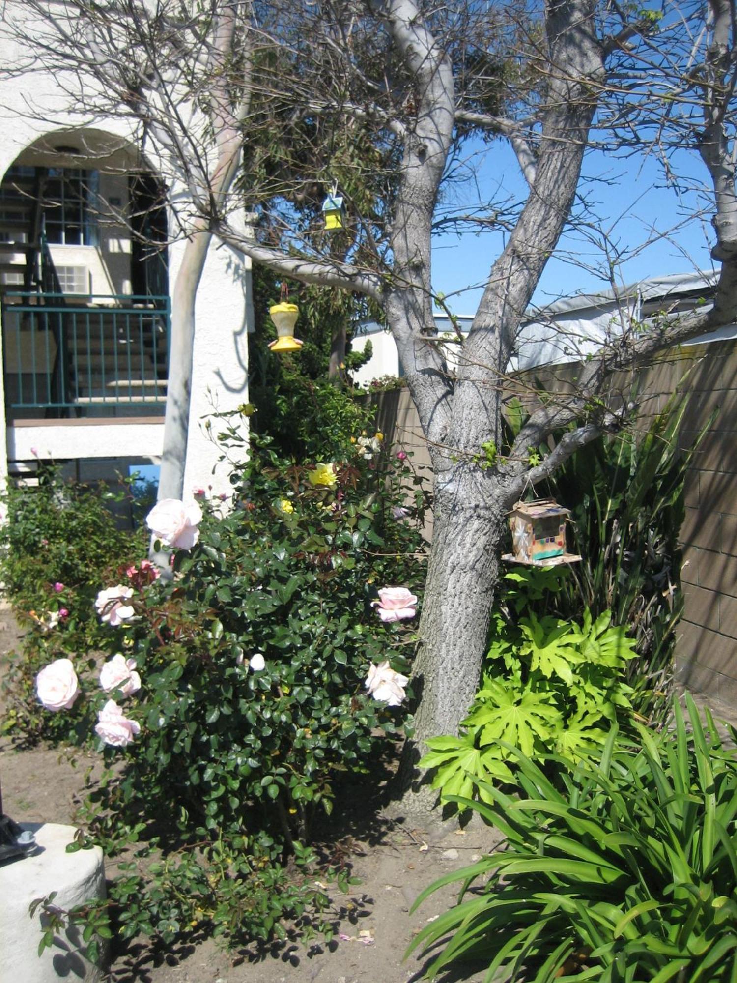 Oceanview Motel Huntington Beach Buitenkant foto
